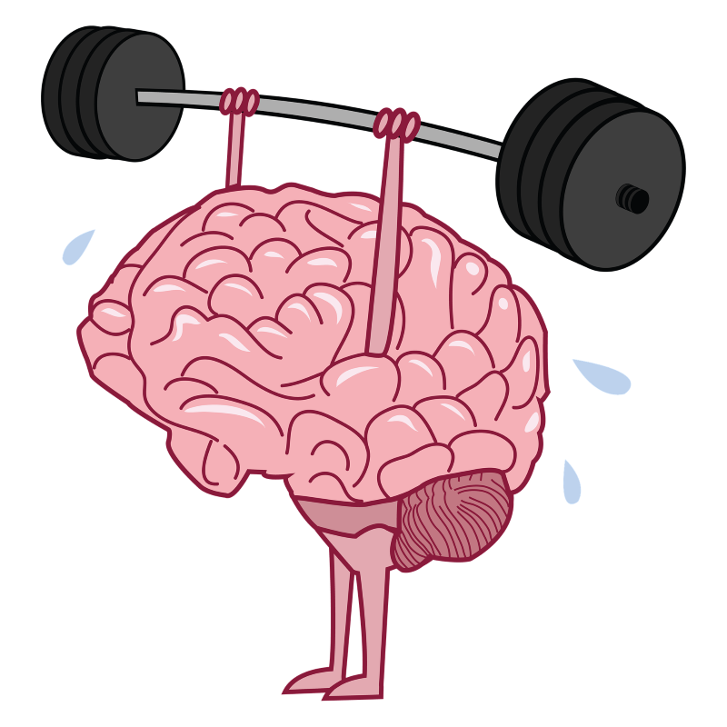 Zeichnung eines Gehirns, welches Gewichte stämmt.
